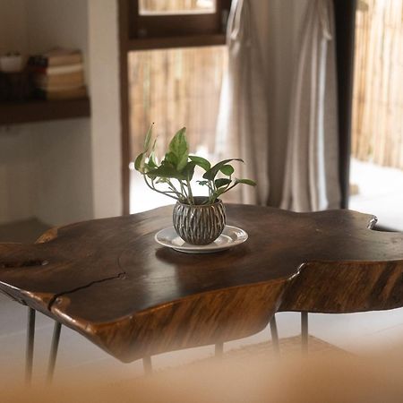 קו טאו Big Tree Boutique Hotel מראה חיצוני תמונה