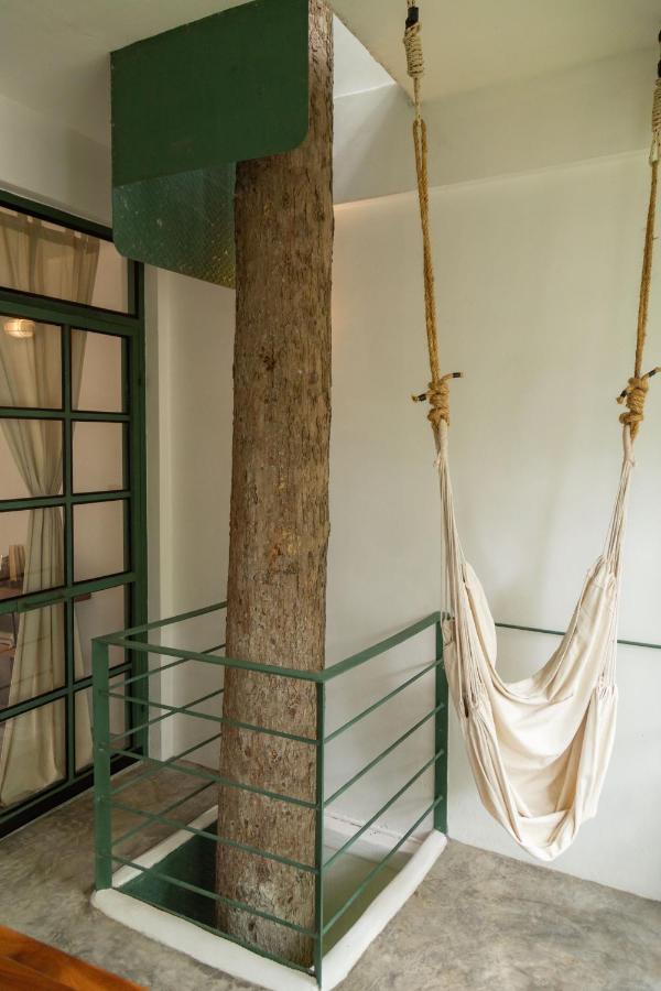 קו טאו Big Tree Boutique Hotel מראה חיצוני תמונה