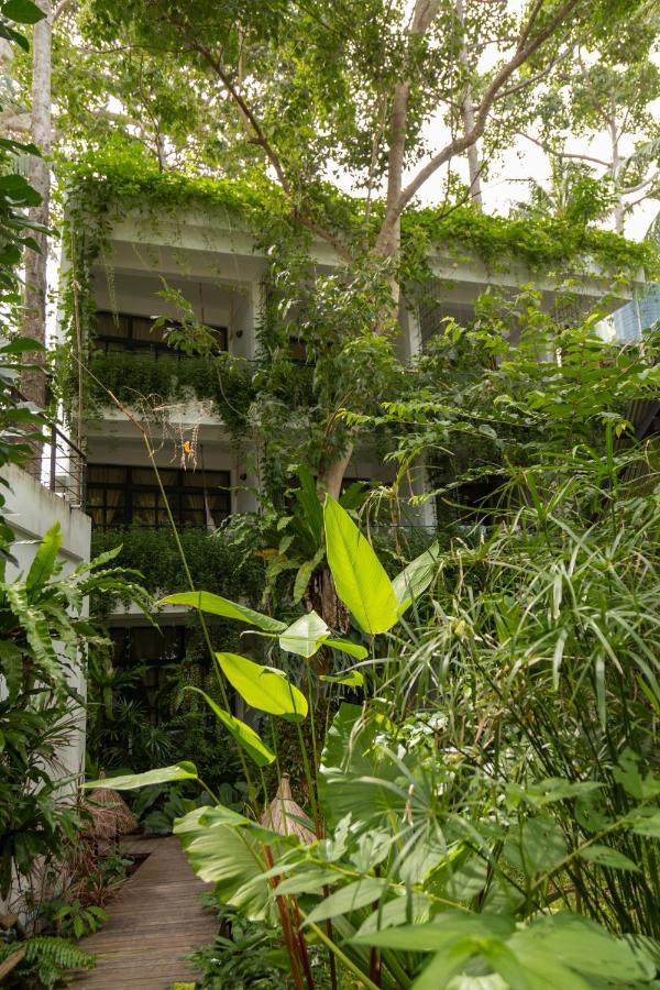 קו טאו Big Tree Boutique Hotel מראה חיצוני תמונה
