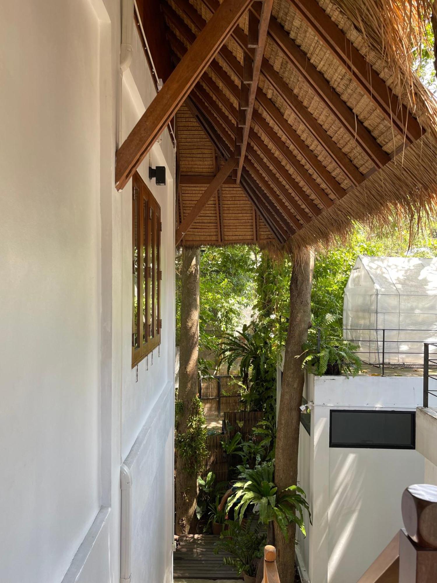 קו טאו Big Tree Boutique Hotel מראה חיצוני תמונה