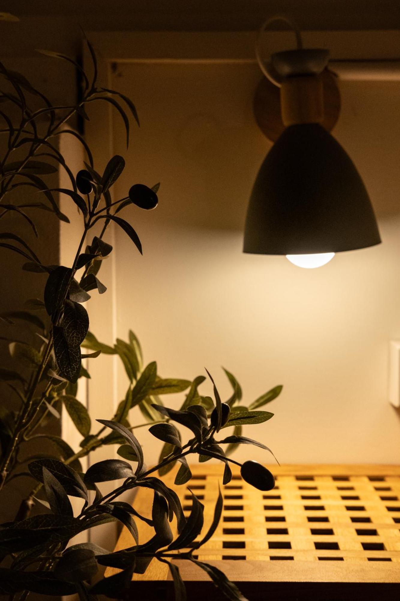 קו טאו Big Tree Boutique Hotel מראה חיצוני תמונה