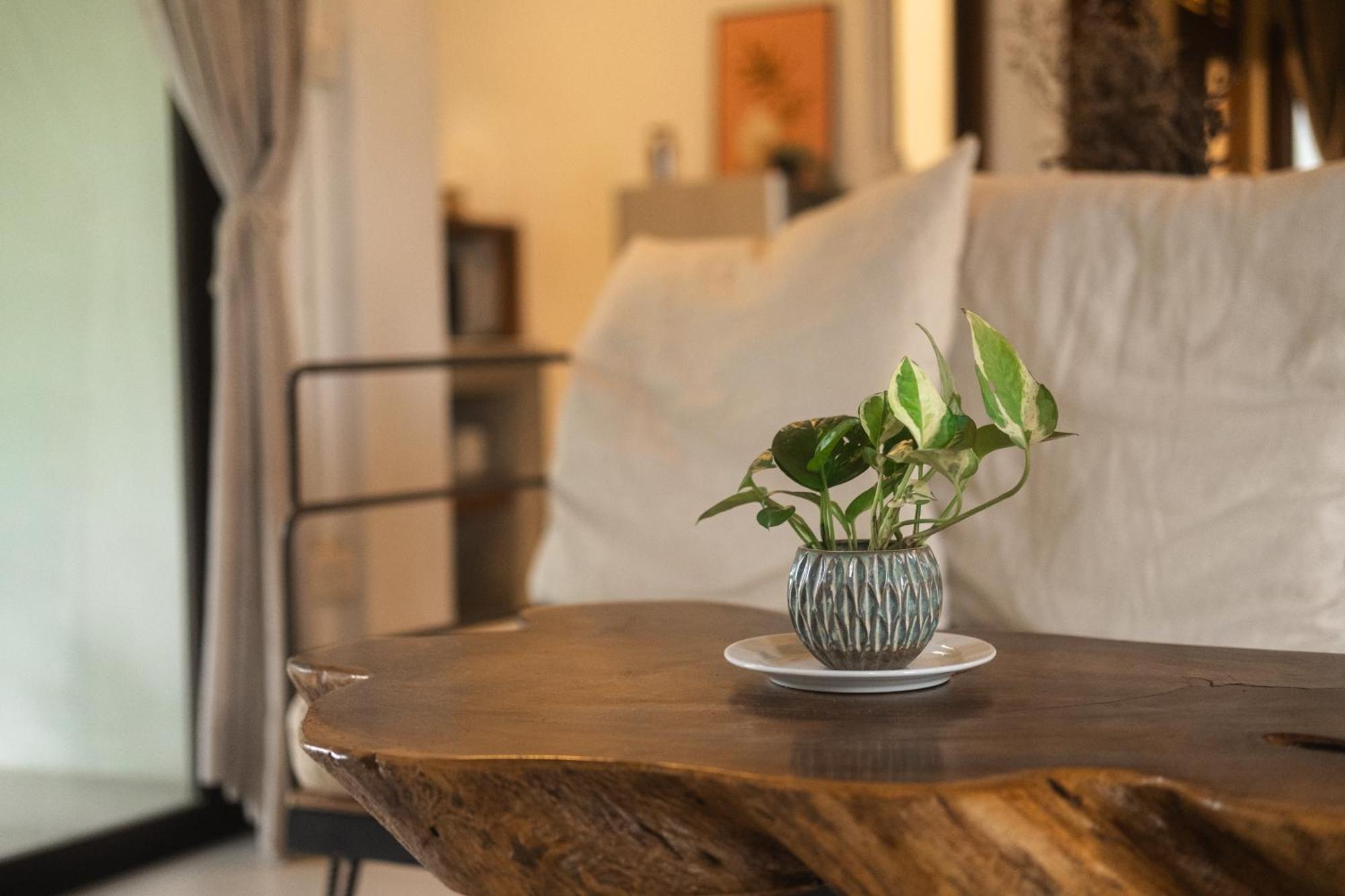 קו טאו Big Tree Boutique Hotel מראה חיצוני תמונה