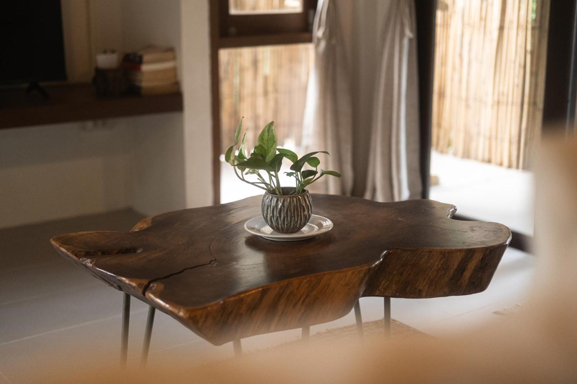 קו טאו Big Tree Boutique Hotel מראה חיצוני תמונה