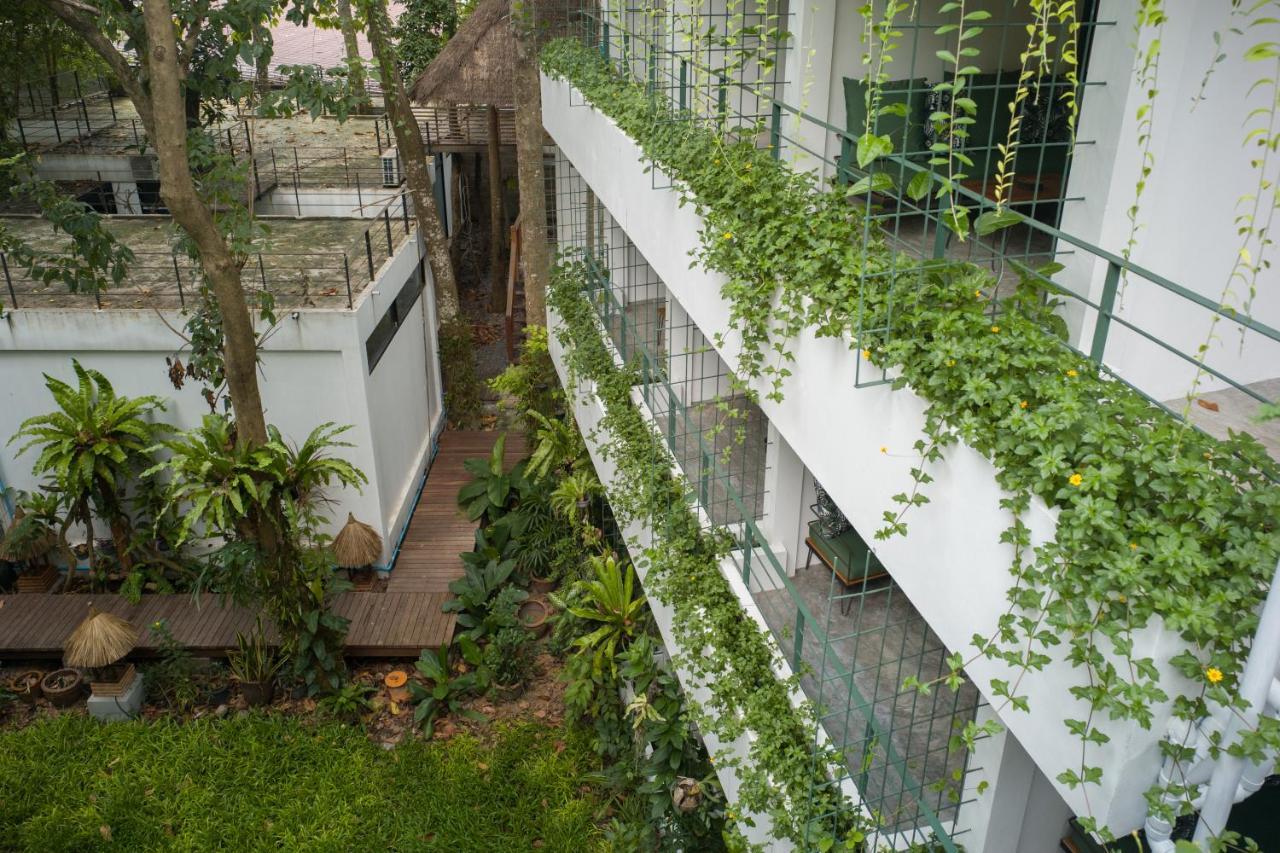 קו טאו Big Tree Boutique Hotel מראה חיצוני תמונה